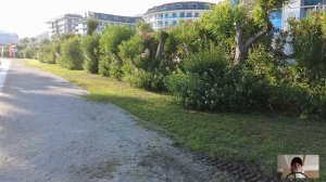 Беременая таксистка отдала зеку последние деньги… А когда через 10 лет он пришел к сироте на свадьб