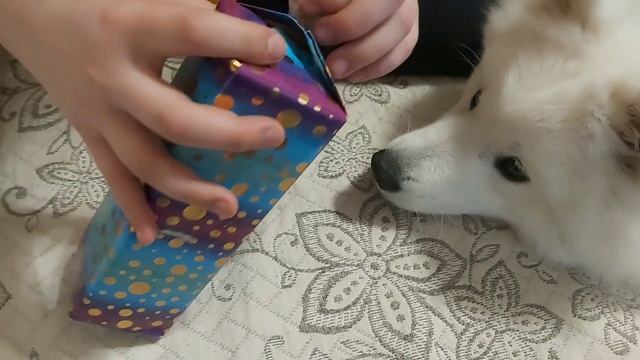 Подарки на Праздник или Моё 8 Марта Поездка... влог #ирахолмогорова смотреть онлайн