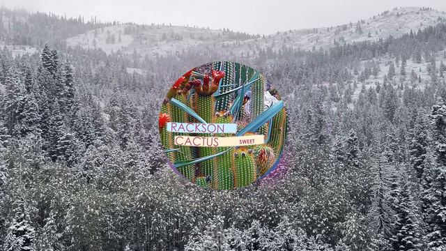 Rackson Cactus - SWEET смотреть онлайн