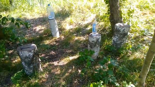 Belarus today. Поездка на участок в диком лесу. Украли часть дров. Жара. Поспела малина. смотреть онлайн