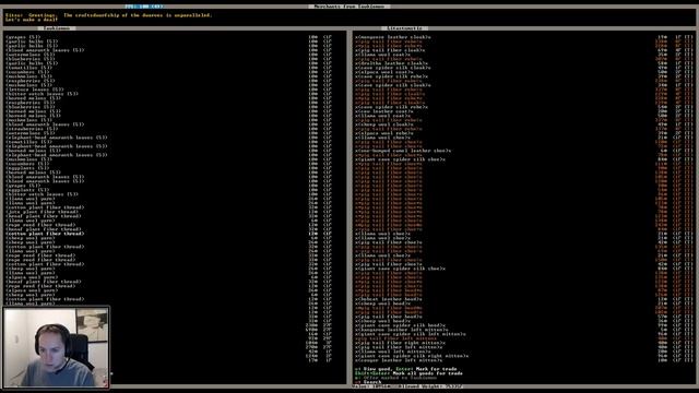 Let's Play Dwarf Fortress 40.15 - Part 33 смотреть онлайн
