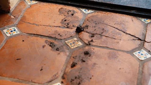 6.2 Grammar Video Part1