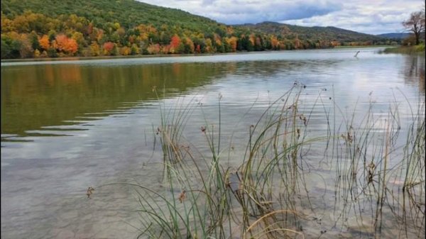 Отверженный, оплёванный, избитый. Христианская песня о Иисусе Христе.