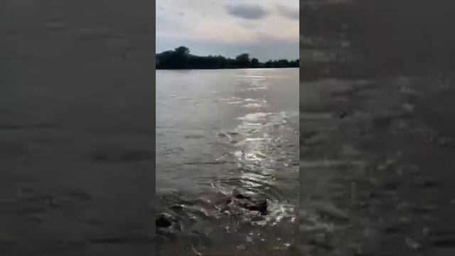 ДУНАЙ В РАЙОНЕ БРАТИСЛАВЫ - ОБЩИЙ ВИД. Видео от партнера. смотреть онлайн