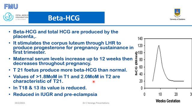 Prenatal Tests Results Interpretation - Dr. C. Verenga смотреть онлайн
