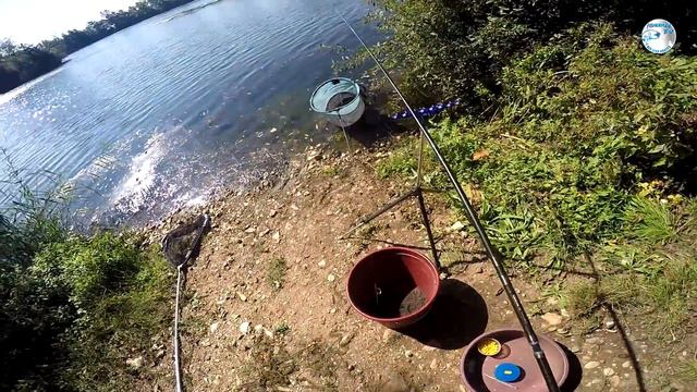 Ловля плотвы на фидер или рыбалка в удовольствие смотреть онлайн