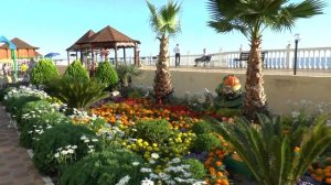 Территория пансионата "Горный воздух" в посёлке Лоо.