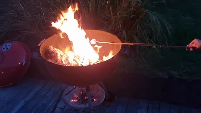 Осень на даче в Норвегии. Крабы, суп из шиповника и другие радости ?