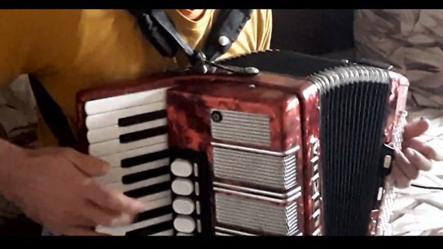 Mydy Rabycad - Drowning (accordion cover) смотреть онлайн
