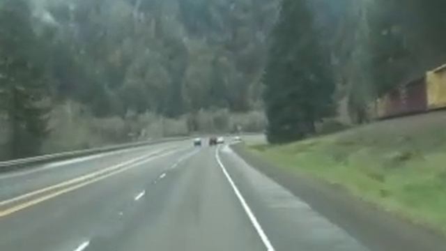 Darlingtonia Wayside, Florence, OR смотреть онлайн