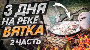 Три дня на реке Вятка (2) Жарим мясо на костре | Отдых на природе в компании друзей|НЕ Рыбалка 2020