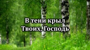 В тени крыл Твоих, Господь| Источник хвалы № 256 | Караоке плюс | Христианские песни | Гимны надежды