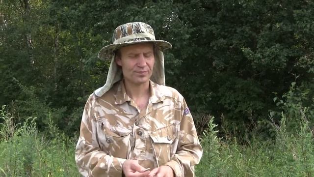 Подделки монет Царской Империи смотреть онлайн