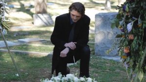 Какие цветы нельзя сажать на кладбище: 3 вида растений, которым не место на могиле