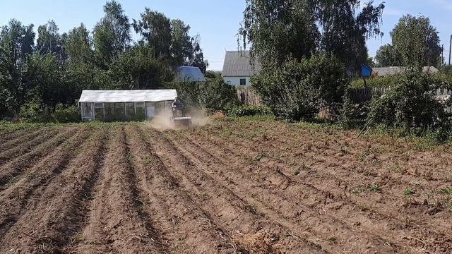 Картофель 2022. смотреть онлайн