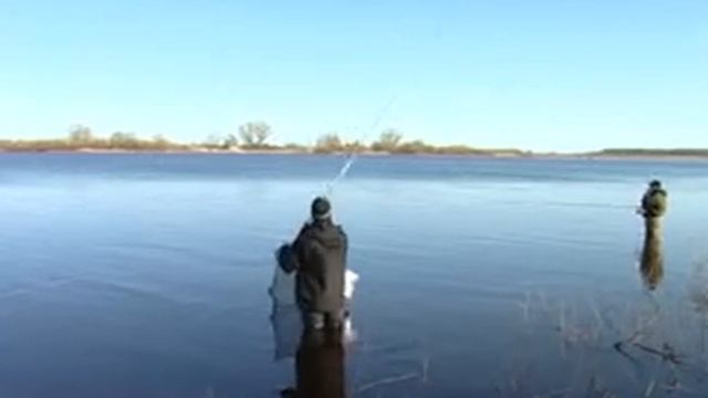 RSN 8 смотреть онлайн