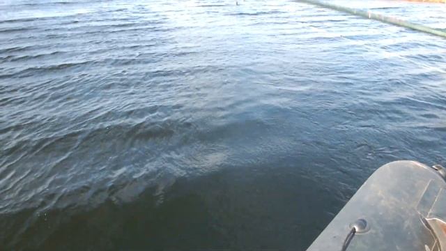 Рыбалка в октябре.Щука на спиннинг.#7 Попали на бешеный клев щуки.Рекорд сезона 2021г.