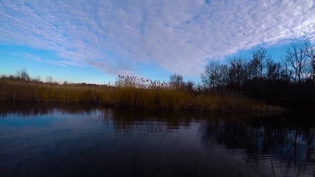 Битюг! (Рыбалка 07.11.2015) смотреть онлайн