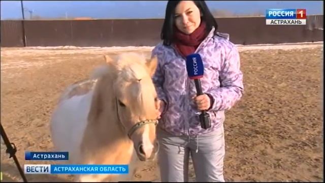 Маленькие астраханцы учатся верховой езде в поселке Красные Баррикады смотреть онлайн