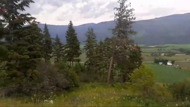 Beauty of Nature/ Summer bloom смотреть онлайн