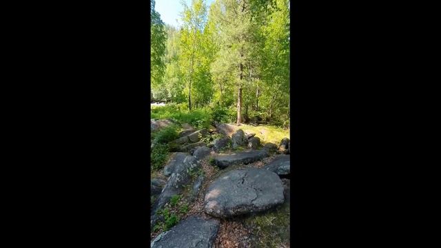 Тува 2021 (реки Изиг-Суг и Хамсара)