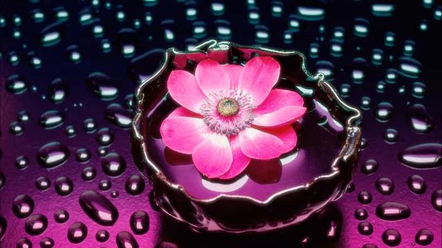 Erich Von Kollar - Pink Flower ( Biologik Remix ) смотреть онлайн