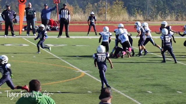 Playoff Football Game 2017 | Ace Tiger Goes Down | TigerFamilyLife~ смотреть онлайн
