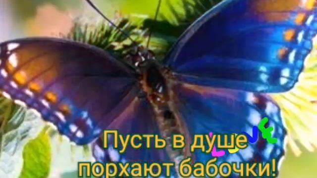 Приветственное видео из фото и картинок для друзей смотреть онлайн