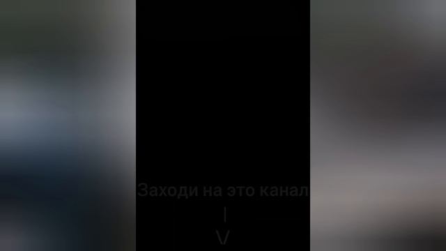 Чайки птички смотреть онлайн