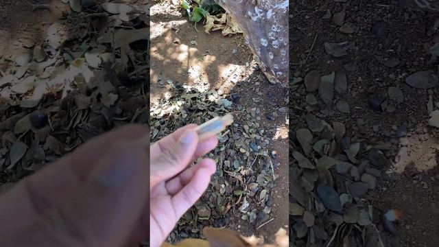 FLAGRANTE! Liga no 190. 🤣🤣🤣 смотреть онлайн