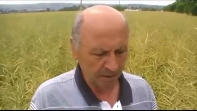 Видео отзыв о нано-технологиях в сельском хозяйстве. ГК NAGRO смотреть онлайн