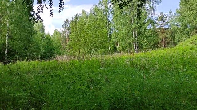 ВНИМАНИЕ ПЛЕНЭР! Живопись маслом по открытым небом. В Екатеринбурге, 18 июня с Татьяной Букреевой смотреть онлайн