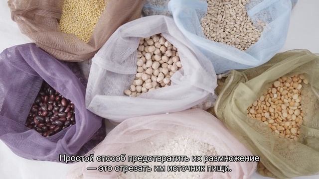 При какой температуре стирать спортивную одежду, чтобы убить бактерии смотреть онлайн