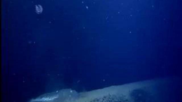 Житель глубин смотреть онлайн