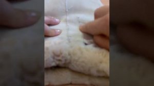 как шить мех на обычной машине