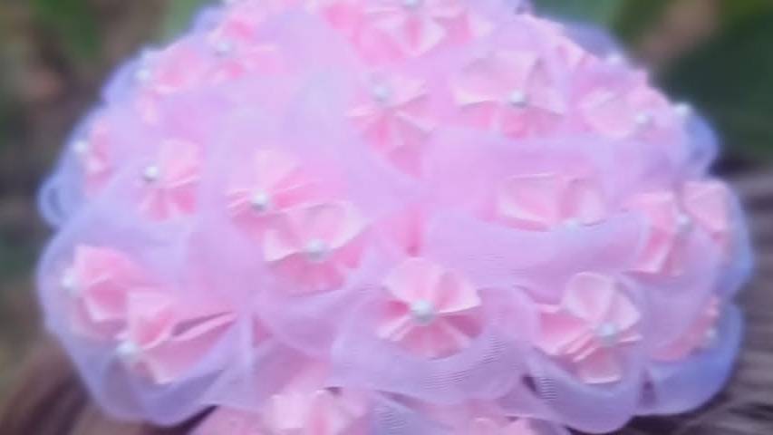 Гортензия с хвостиками