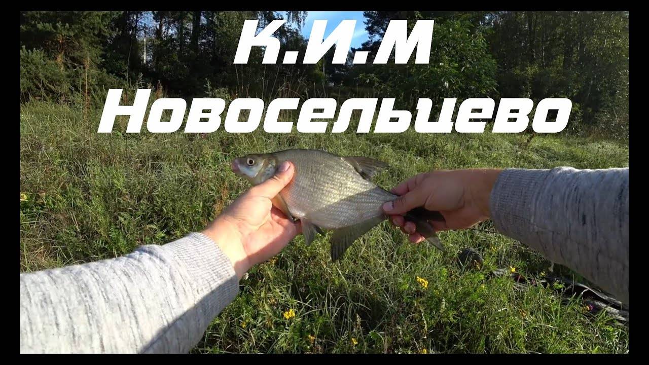 Рыбалка на канале имени Москвы (Новосельцево) смотреть онлайн