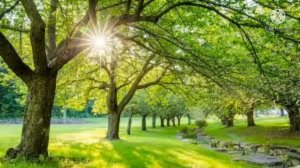 Таъбири хоб:,Асал дар хоб,Панир,Нон дар хоб,Шир дар хоб,Маска,Ҷурғот,Гӯшт дар хоб,Равған дар хоб.