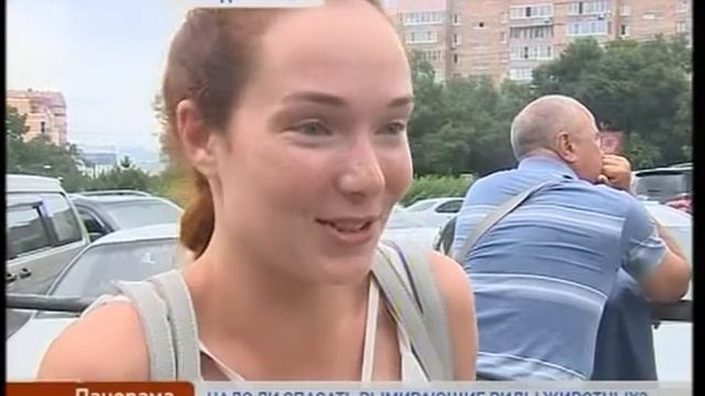 Нужно ли спасать вымирающих животных смотреть онлайн