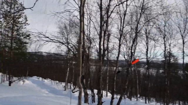 Заброшенные теплицы около Большого Питьевого озера. Мурманск.