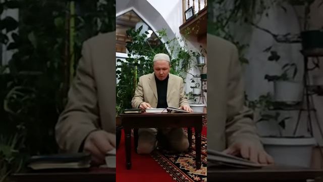 Шамиль хазрат 26.11.2019 разбор хадисов смотреть онлайн