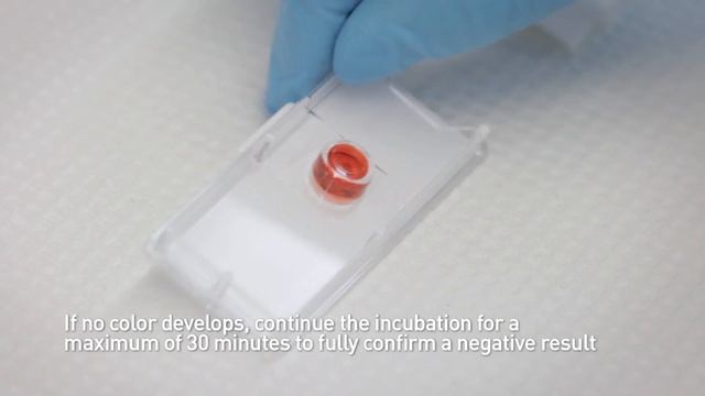 Экспресс тест на Хеликобактер пилори