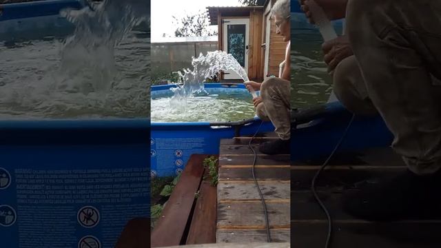 Дренажный насос-самая необходимая вещь для бассейна.Ёмкость для сада больше не нужна. смотреть онлайн