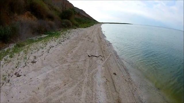 Рыбалка в Глафировке, Азовское море, 08.07.2020 смотреть онлайн