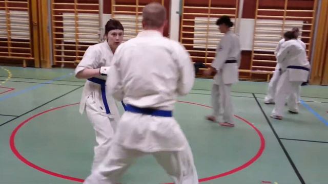 Gradering kumite - Lena, Gunnar Michael och Victor смотреть онлайн