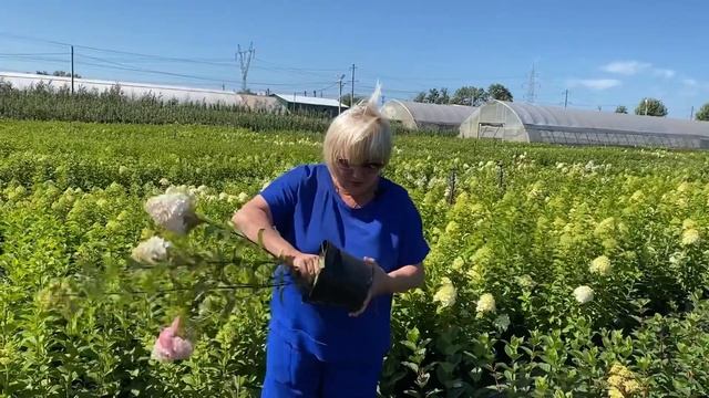 УСЛОВИЯ ЧИТАЙТЕ В ОПИСАНИИ ПОД ВИДЕО смотреть онлайн