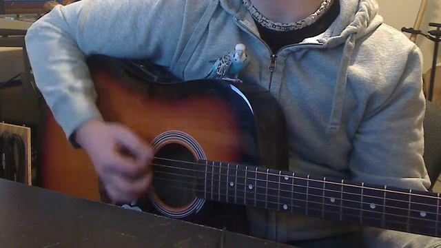 death cab for cutie - talking bird cover acoustic смотреть онлайн