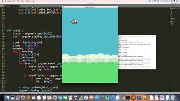 Flappy bird in Pygame |Pygame build your first game |flappy bird