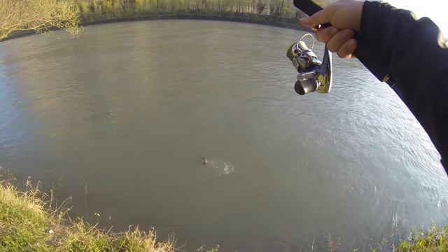 Truite 55cm spinner смотреть онлайн