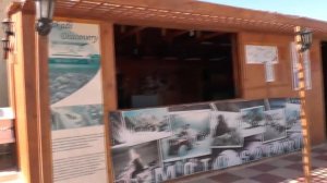 отель Coral Sun Beach Египет пляж и море | inTRAVEL